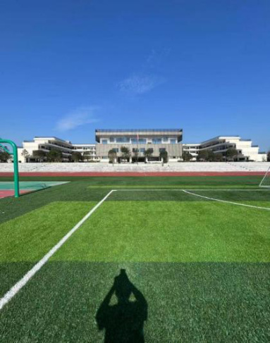 九龙镇第二小学
